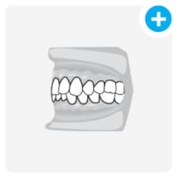 tooth