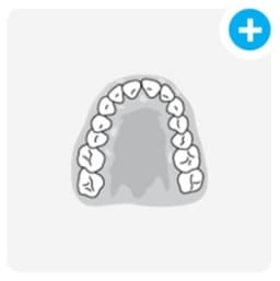 tooth